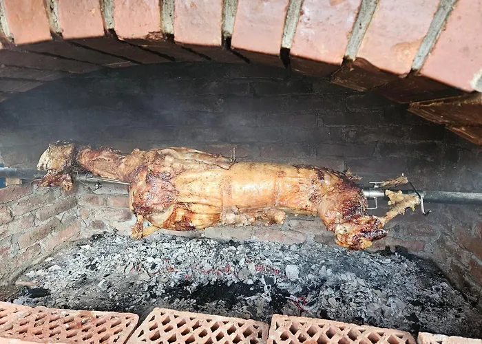 Ruza Vetrova