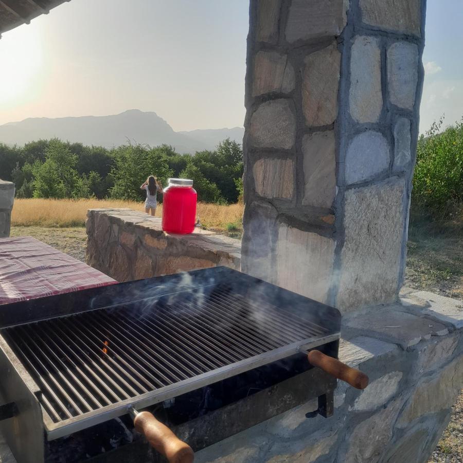 Ruza Vetrova